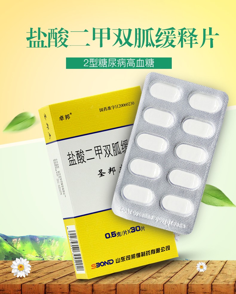 圣邦杰（盐酸二甲双胍缓释片） 图 2